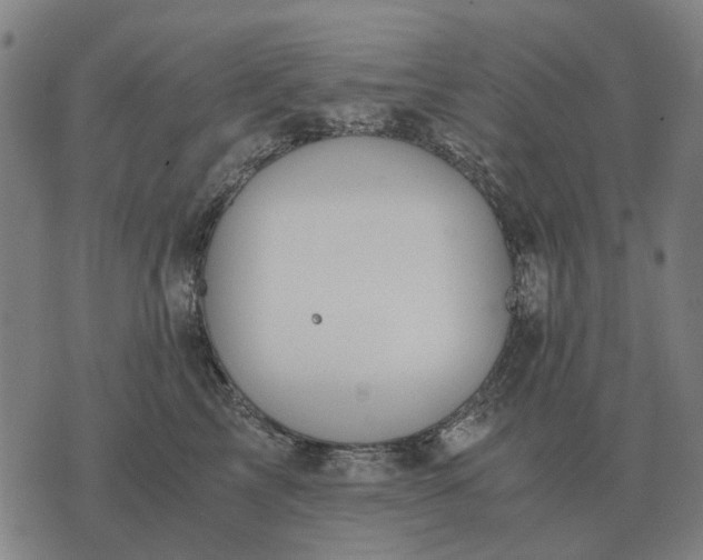 X0000076090713200610061641