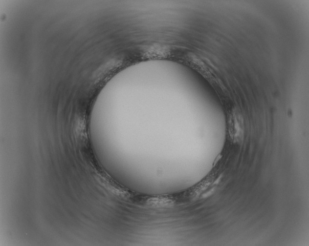 X0000076090714200610061641