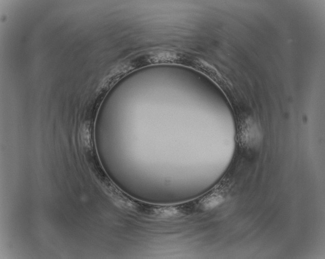 X0000076090715200610061641