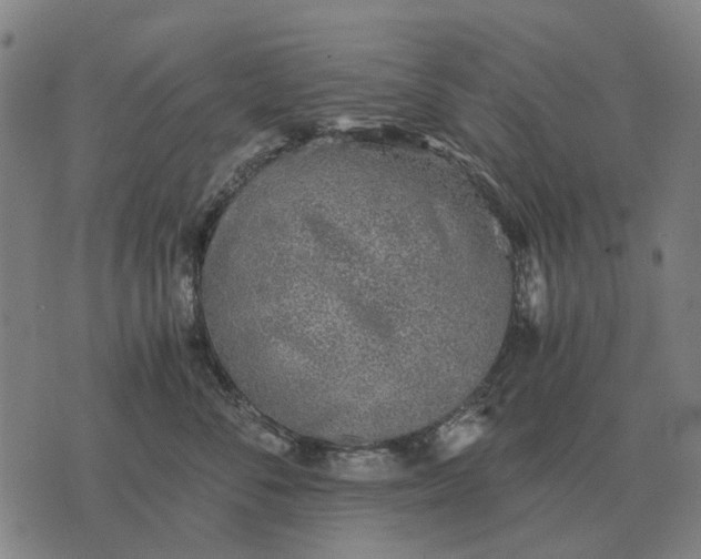 X0000076090716200610061641