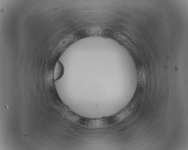 X0000076090717200610061641