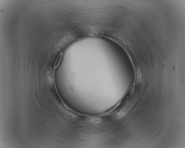 X0000076090719200610061641