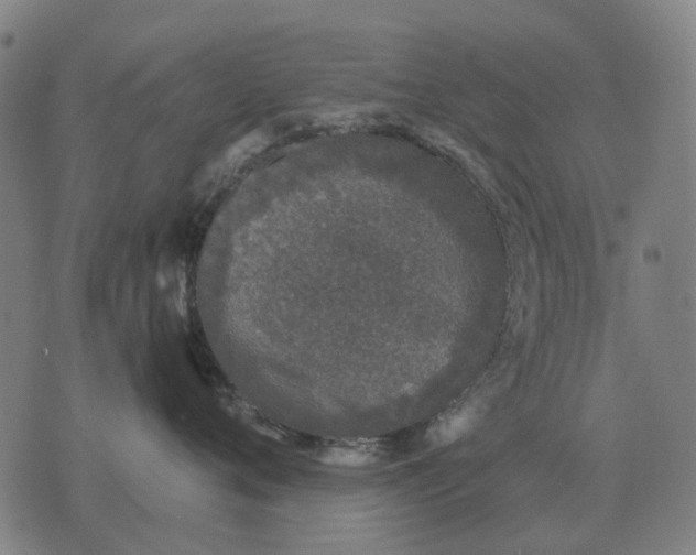 X0000076090720200610061641