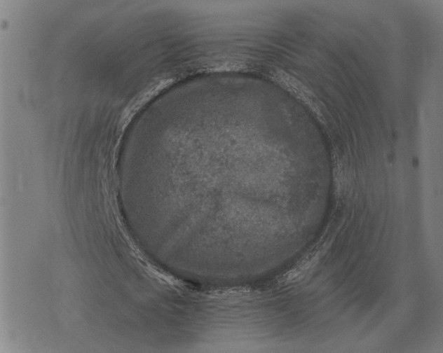 X0000076090721200610061640