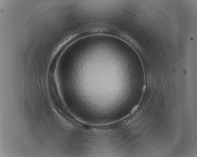 X0000076090722200610061640