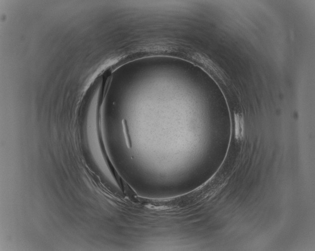 X0000076090723200610061640