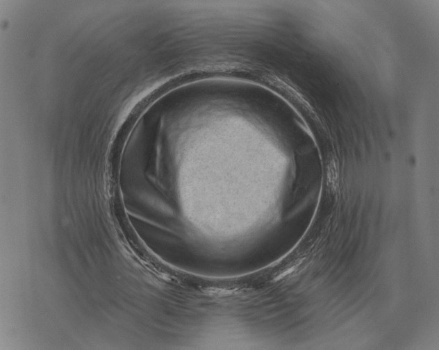 X0000076090724200610061640