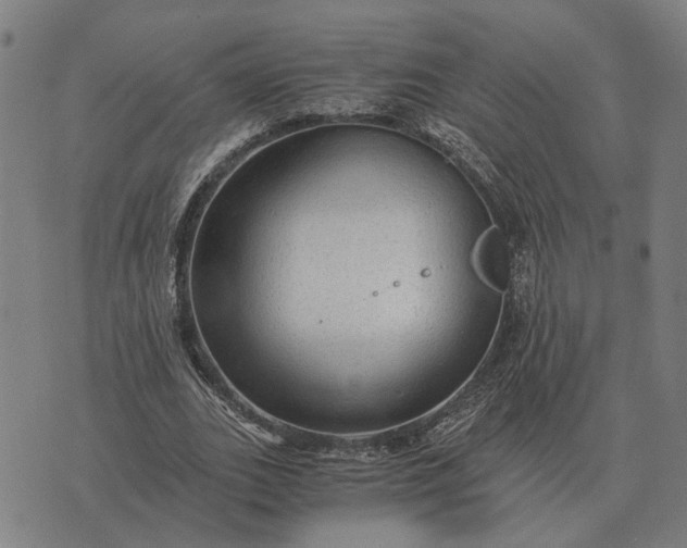 X0000076090727200610061640