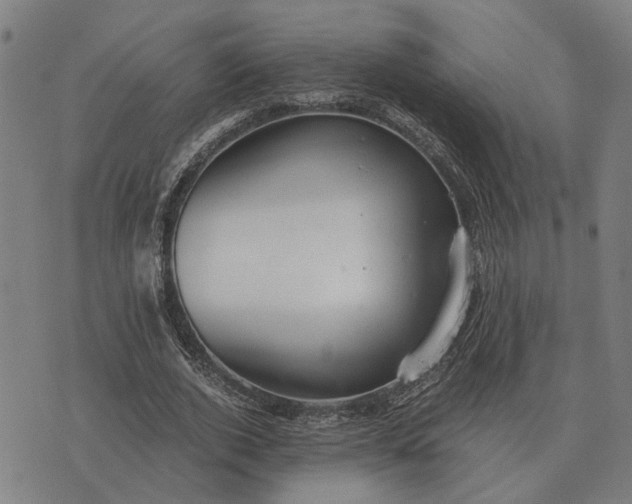 X0000076090728200610061640