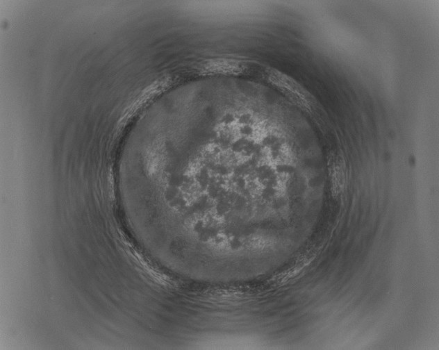 X0000076090729200610061640