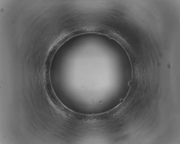 X0000076090730200610061640