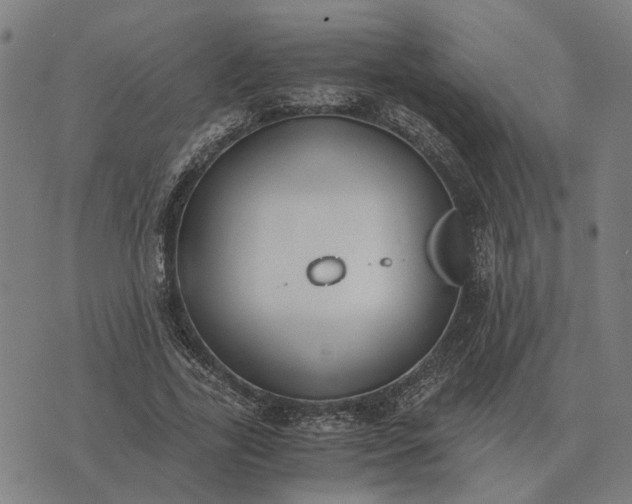 X0000076090731200610061640