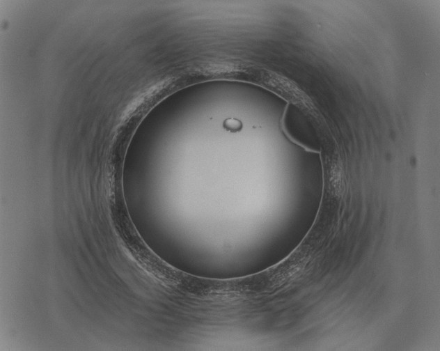 X0000076090732200610061640