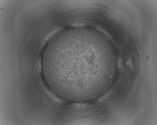 X0000076090733200610061640