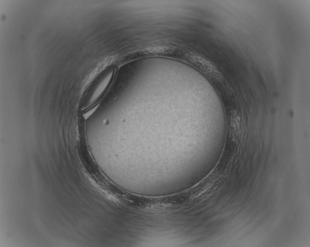 X0000076090734200610061640