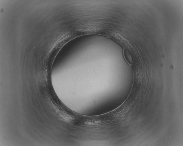 X0000076090735200610061640