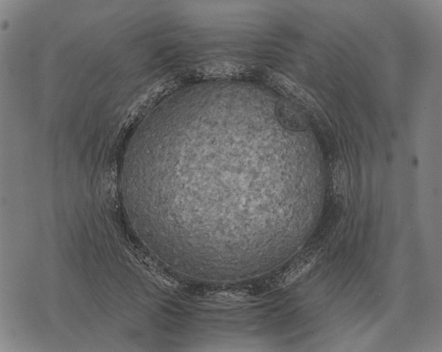 X0000076090737200610061640