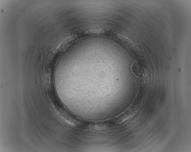 X0000076090739200610061640