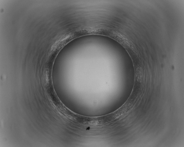 X0000076090740200610061640