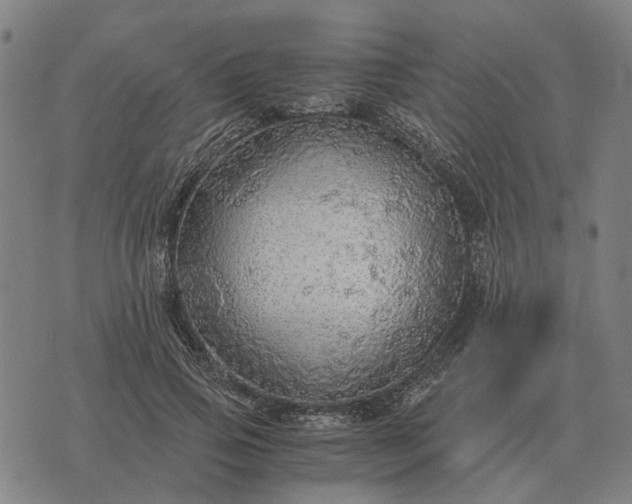 X0000076090741200610061640