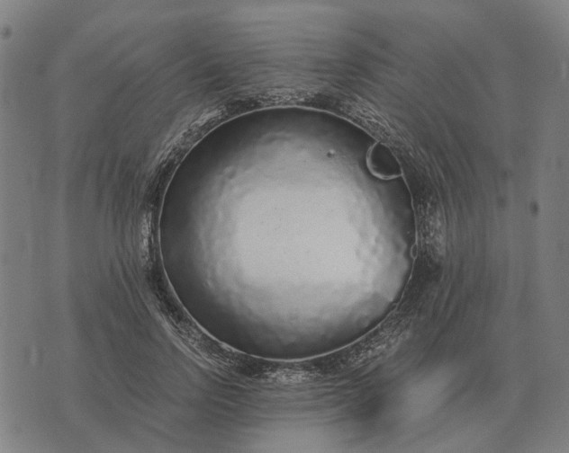 X0000076090742200610061640