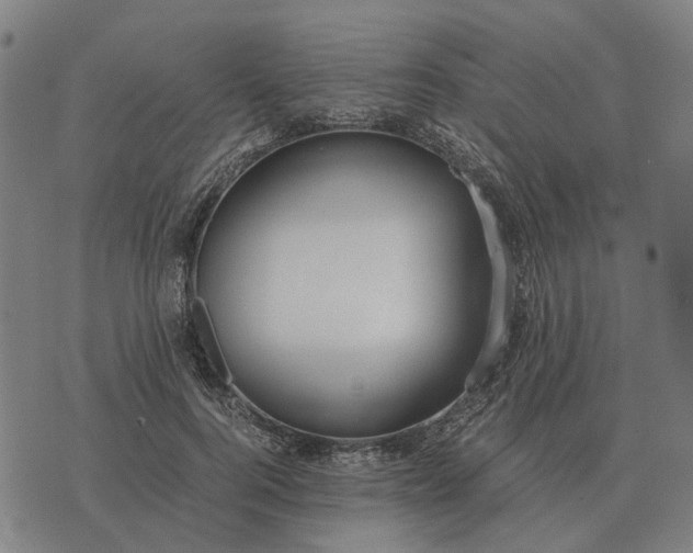 X0000076090744200610061641