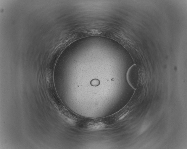 X0000076090747200610061641