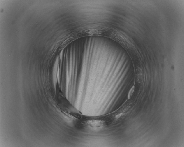 X0000076090748200610061641