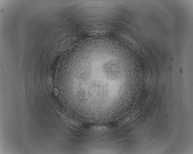 X0000076090749200610061641