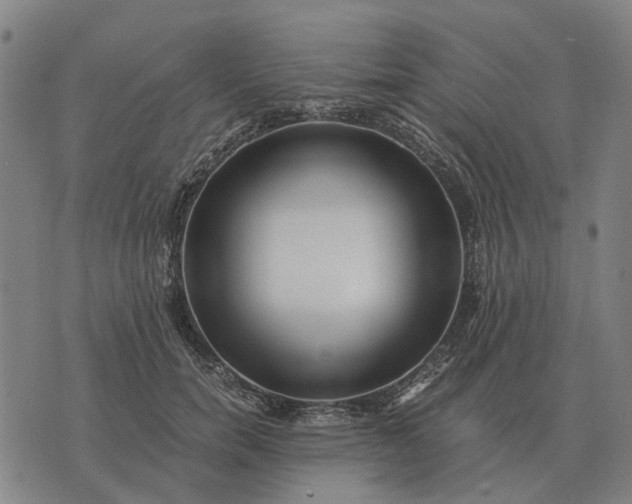 X0000076090750200610061641