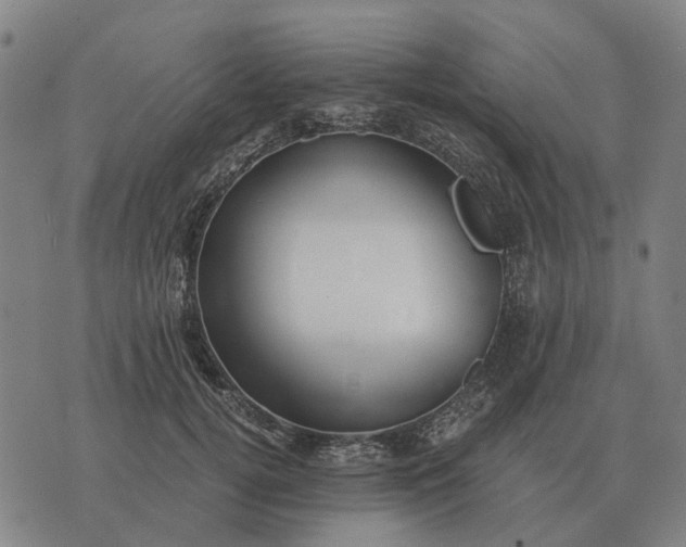 X0000076090752200610061641