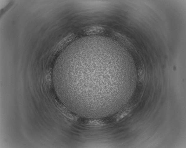 X0000076090753200610061641