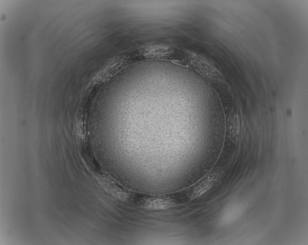 X0000076090755200610061641