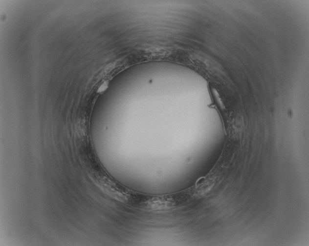 X0000076090756200610061641