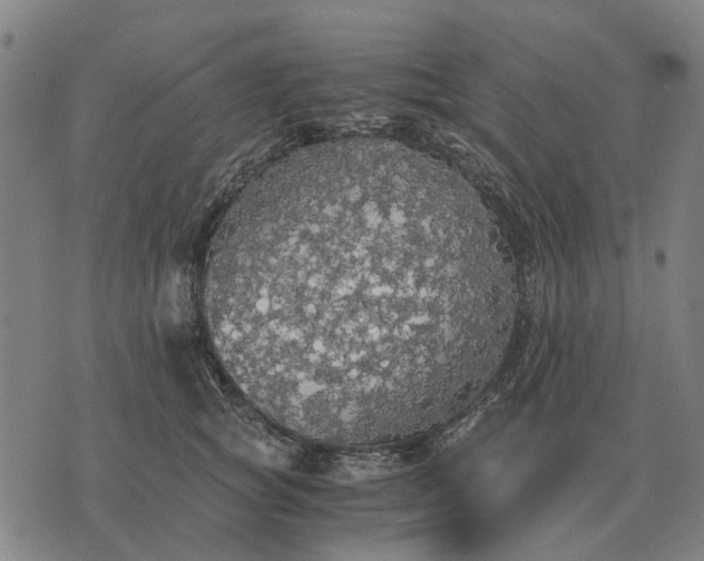 X0000076090757200610061641