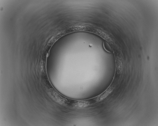 X0000076090758200610061641