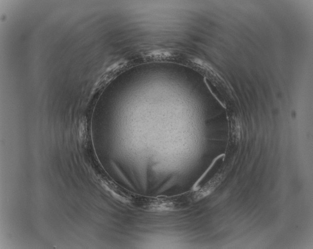 X0000076090760200610061641