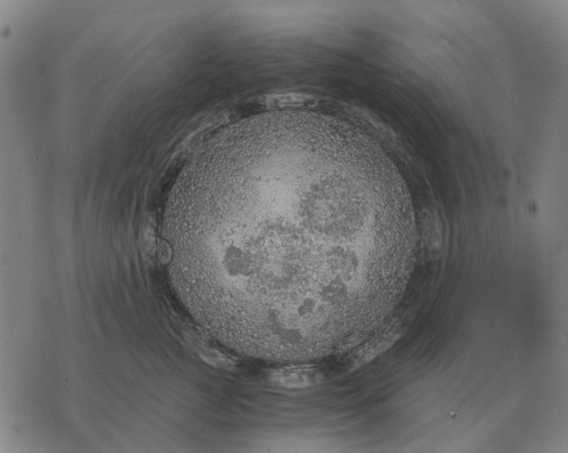 X0000076090761200610061641