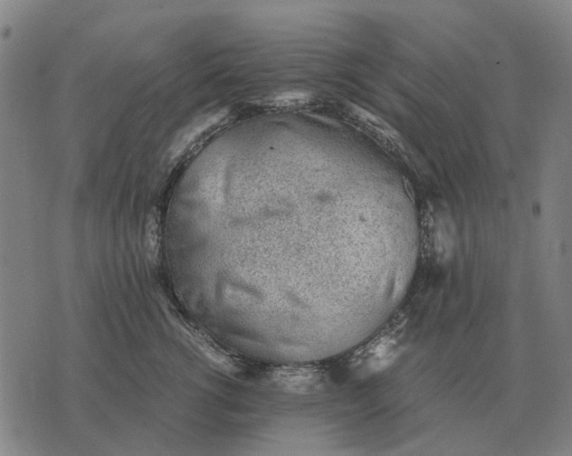 X0000076090762200610061641