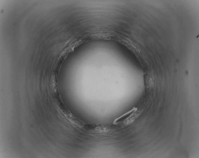 X0000076090764200610061641