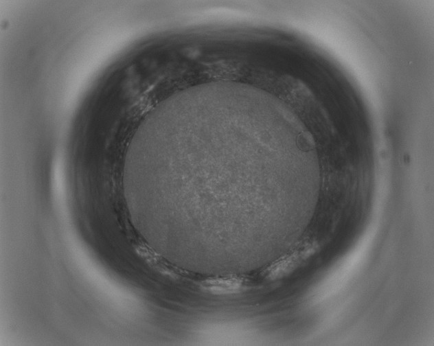 X0000076090765200610061641