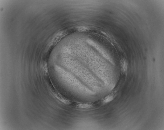 X0000076090766200610061641