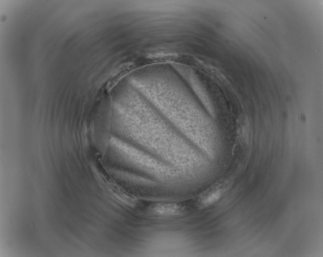 X0000076090767200610061641