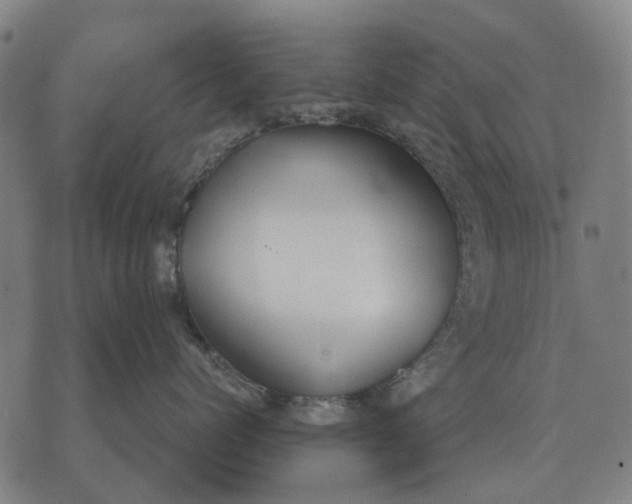 X0000076090768200610061641