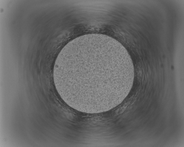 X0000076090769200610061640