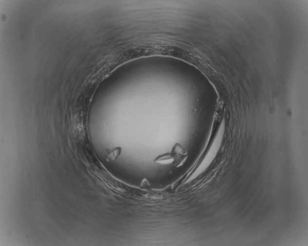 X0000076090771200610061640