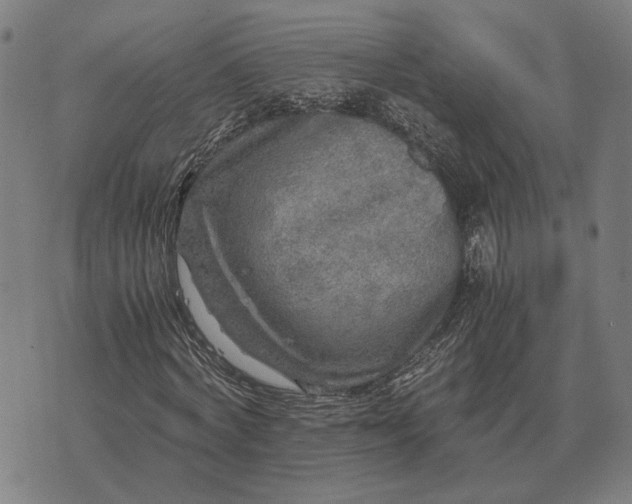 X0000076090772200610061640