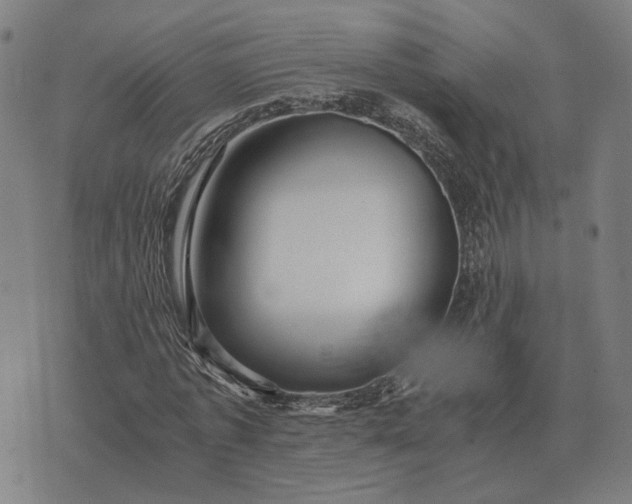 X0000076090773200610061640