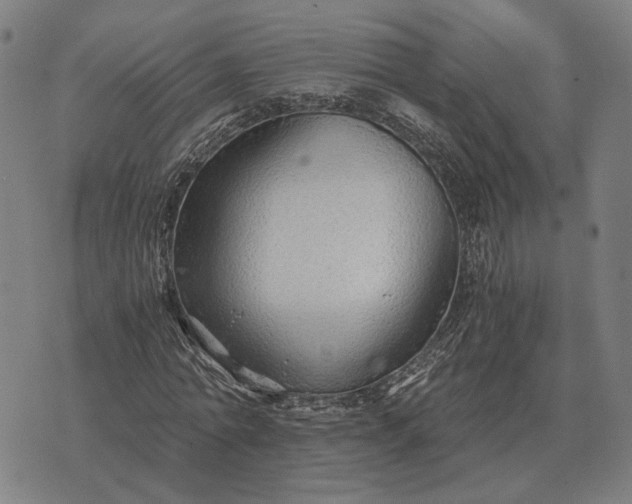 X0000076090774200610061640