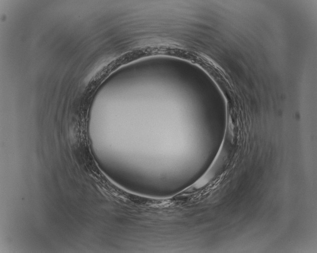 X0000076090775200610061640